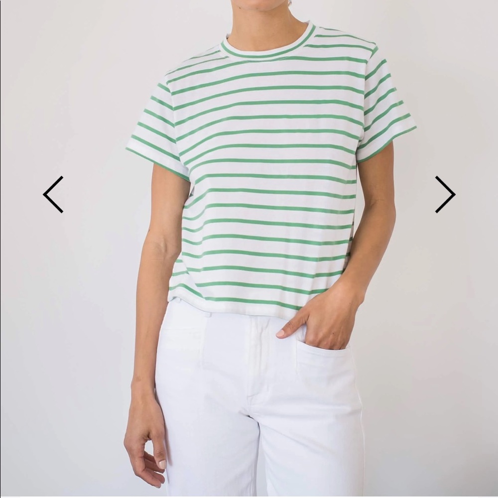 NWT AYR Sno Cone t-shirt in Romaine